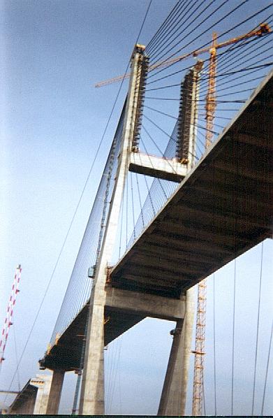 Looking up at cable-stayed span and cables